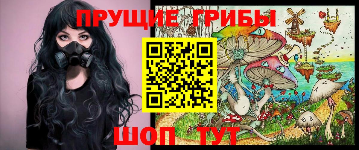 Галлюциногенные грибы Cubensis Энгельс